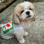 อรพินท์ อินทร์เหลา profile icon