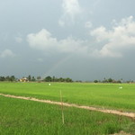 Aeny Azrie profile icon
