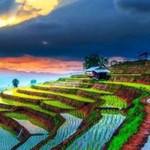 Annisa Az-zahra profile icon