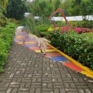 Alee AC profile icon