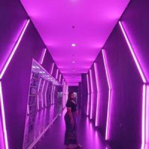 Sella Lestari profile icon