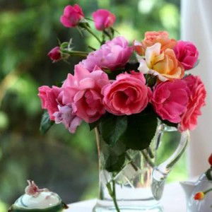 Rin rini profile icon