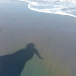 Rahayu Puji profile icon