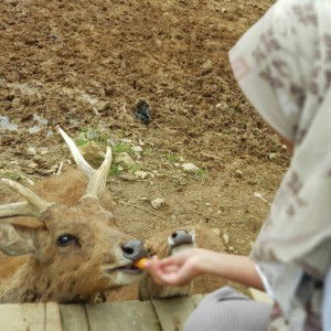 Ai Baranuri profile icon