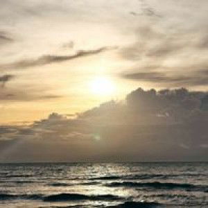 Vebi Vebi profile icon