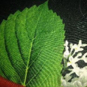 Ervina Afriantika profile icon