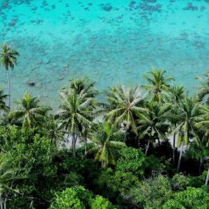 winda aini profile icon