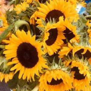 Intan Najwa profile icon