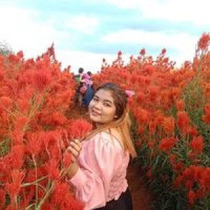 Ray Nilla profile icon