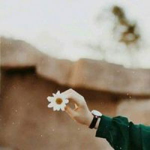 Hayati Hayat profile icon