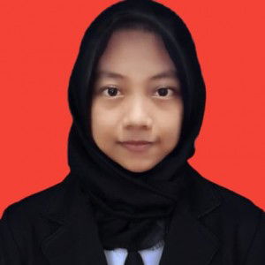 Dini Erdian profile icon