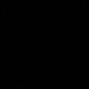 Chanida Dungomrit profile icon