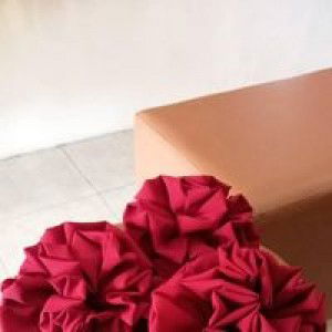 Nanda Cepolan profile icon