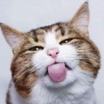 Astri profile icon