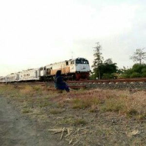 sofwatun nida profile icon