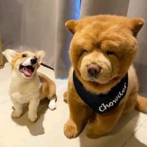 Arianna Kayla Alfaro profile icon