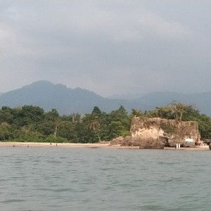 dazlin blue profile icon