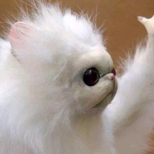 Irahh Rivera profile icon