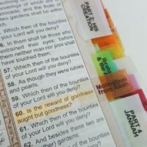 26. Qoulan Sadida profile icon