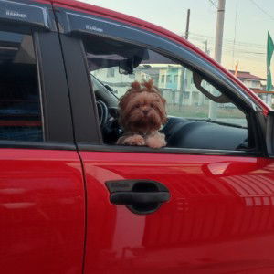 Rochelle Anne Kate Valencia profile icon