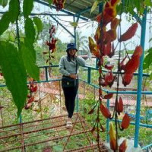 Car La Pot Martinez profile icon