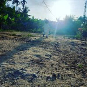 Septy Siboro profile icon