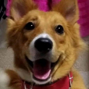 Melchie Arao profile icon