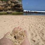 Diana Febris profile icon