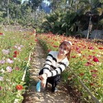 Anuchida Palmy profile icon