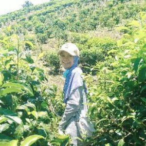 S.A. Balqis profile icon