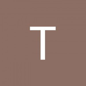 Thanapha Otthon profile icon