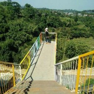 Ani Yulianingsih profile icon