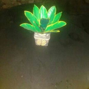 Sri winarti Abbas profile icon