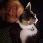 pramita profile icon