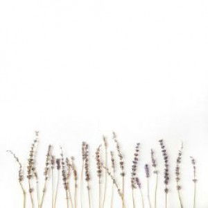 Linda Safitri profile icon