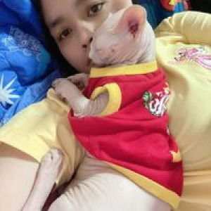 Ann Niiez profile icon