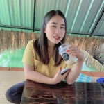 น้อง'เหมย เหมย profile icon