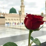 Fia Lutfia profile icon