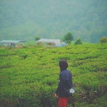 Lili Amaliah Hasanah profile icon