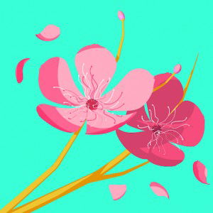 Hikmah Fadhilah Adha profile icon