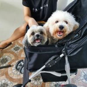 Mica Lozano profile icon