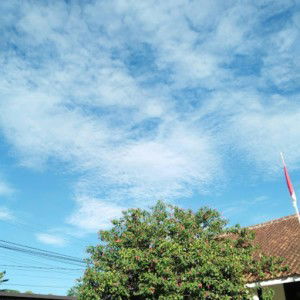 siapaaku profile icon