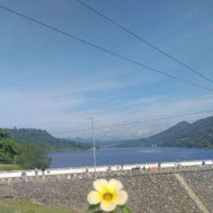 Rhe-Rhe Karina Putri profile icon