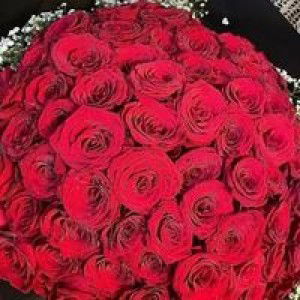 Ammara Danisha Izham profile icon