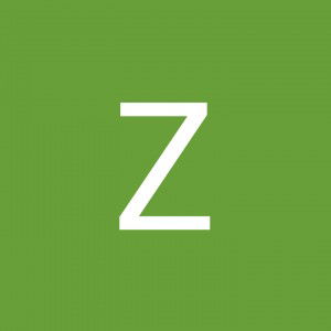 Z M profile icon