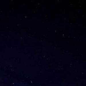 Dims Disini profile icon