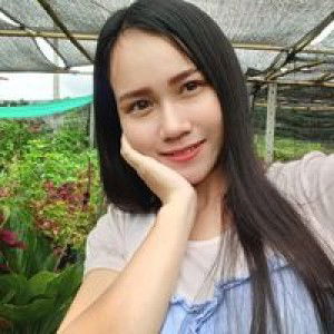 ชื่อ บี ที่แปลว่า ผึ้ง profile icon