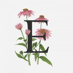Ellen Ps profile icon