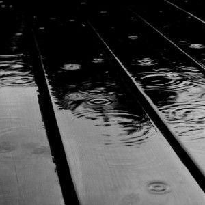 Mira Permata profile icon