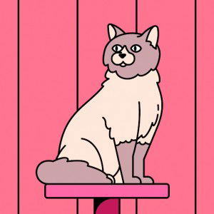 Sharon Ronny Likur profile icon